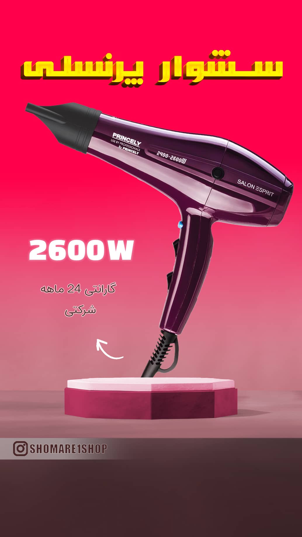 سشوار پرنسلی